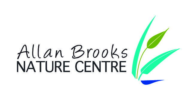 Allan Brooks
